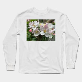 Apple Blossoms Long Sleeve T-Shirt